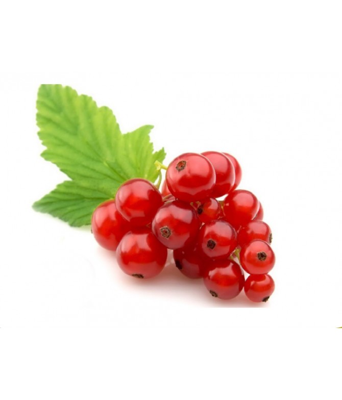 Frenk Üzümü (Gooseberry)